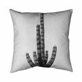 Begin Home Decor 20 x 20 in. Cactus-Double Sided Print Indoor Pillow 5541-2020-FL197